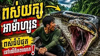 ជិះទូកផ្សងព្រេងនៅទន្លេអាម៉ាហ្សូនដ៏គ្រោះថ្នាក់  ជួបពស់ធំបំផុតនៅលើពិភពលោក!