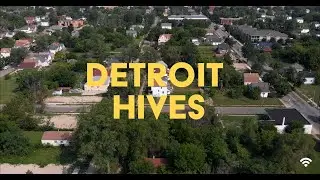 Detroit Hives: Transforming Vacant Detroit Lots into Urban Bee Farms