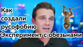 Русофобия на примере эксперимента с обезьянами