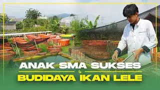 Lulus SMA, Hazim Sudah Sukses Bisnis Budidaya Ikan Lele