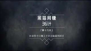 黑猫社网赚36计第16计:无脑直接操作的暴利赚钱项目
