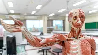 Module 1: Introduction