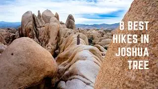 8 Best Hikes in Joshua Tree National Park (#5 is Our Favorite!)