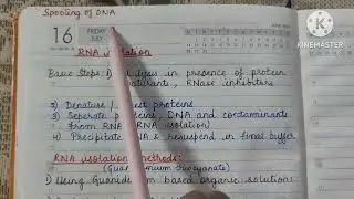 Nucleic acid purification and Yield analysis