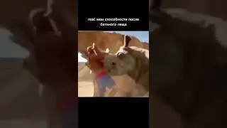 мем 