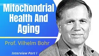 How Mitochondrial Health Impacts Aging | Dr Vilhelm Bohr Ep 1