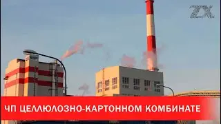 ЧП на целлюлозно-картонном комбинате: 3 человека погибло | Зона Х