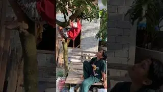 Pak aku mau mangga 