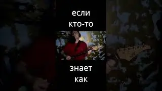 Как избавиться от белокрылки?