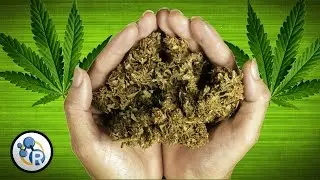 How Does Marijuana Work?