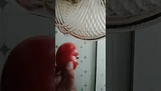 15 мая 2024 г.