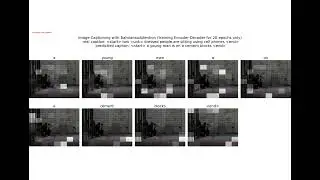 Visual Attention | Image Captioning | Visualization | tensorflow | python