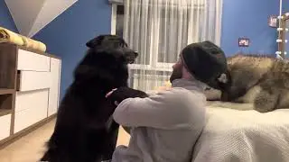 Приходил Волкособ Гул’Данёшка-поболтали мы немножко 😃
