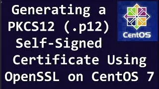 Generating a PKCS12 (.p12) Self-Signed Certificate Using OpenSSL on CentOS 7