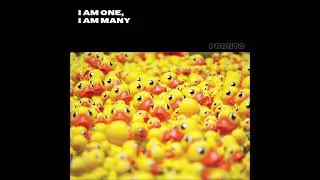 JAMES CURD - I AM ONE, I AM MANY [ADELPHI MUSIC FACTORY REMIX]