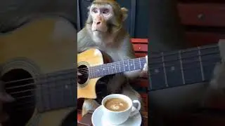 Но ты живёшь в Улан-Удэ