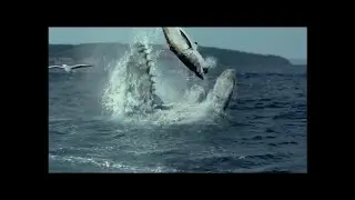 Battle At Big Rock After Credits -Jurassic World Short Film