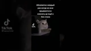 Мемес 13