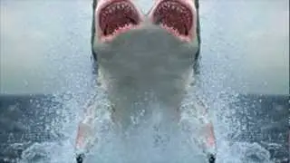 TWO HEADED SHARK!!