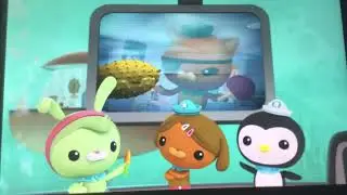 Creature report porcupine puffer