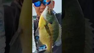 Went Fishing Today #Fishing #Shorts #Subscribe #Like #pike