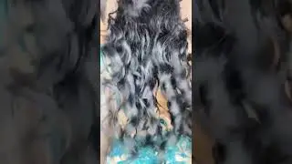 solo belly dance