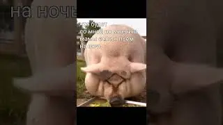 #шайлураптор #индоминусяйца