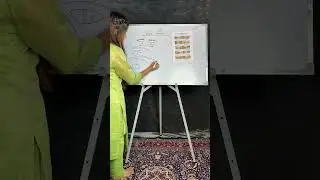White & black Kajal theory tips