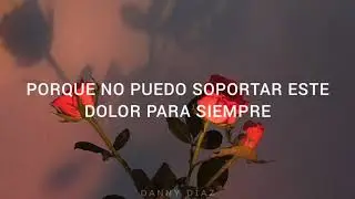 The Weeknd - Die For You 「Sub. Español」