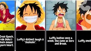 29 Interesting Facts About Monkey D Luffy | One Piece