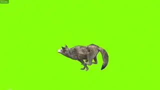 Running and jumping wolf green screen।cartoon green screen।wolf green screen। ostad animation