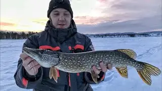 НЕ ЗРЯ НА НОЧЬ ОСТАВИЛИ !!! Бархатово