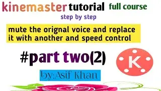 How to mute the orignal voice and replace it with another ? And video speed control setup,kinemaster
