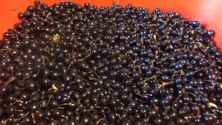 Компот из черной смородины