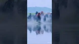 26 мая 2024 г.