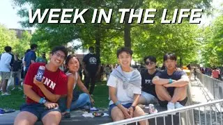a week in the life #8 | spring 2024