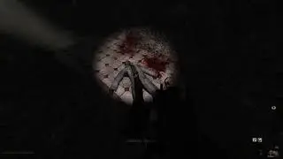 ЗАБРОШЕННАЯ БОЛЬНИЦА (S.T.A.L.K.E.R. Anomaly) (67)