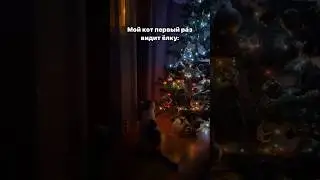 😂😂