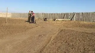 Готовлю место для откорма ягнят