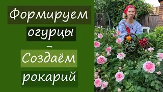 Как формировать огурцы? Как создать рокарий своими руками?