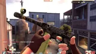 Team fortress 2 (TF2)