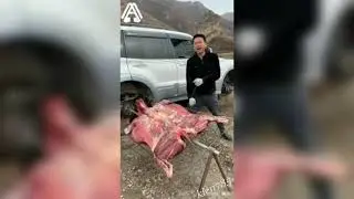 Необычное приготовление шашлыка