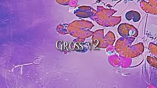 Gross v2 by Penelope Scott lyrics