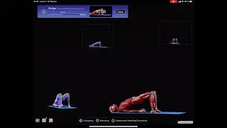 Yoga Bridge