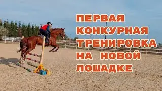 Первая конкурная тренировка на новой лошадке. Даша прыгает, тренер тренирует, оператор снимает!