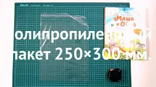 ПП пакет с клапаном и скотчем 250×300 ozon обложка