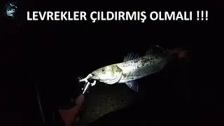 BOL AKSİYONLU LEVREK AVI