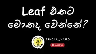 Leaf එකට මොකද වෙන්නෙ ? | Sinhala | EV | Nissan Leaf | Electric Vehicle