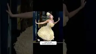 Funny Bizarre Wedding Dresses Part 2 short