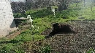 Пригород Одессы. 09.04. 2024 год.